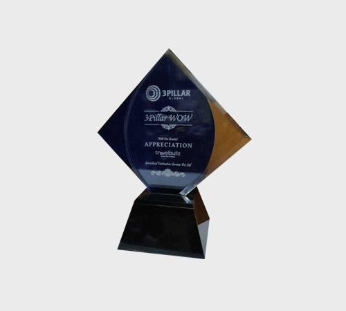Dark Blue-Mirror Acrylic Diamond Award - SKU ACA-037 - Acrylic
