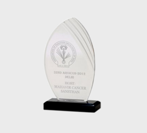 Clear Acrylic Leaf-Shaped Award with Ribbed Texture - SKU ACA-056 - Acrylic