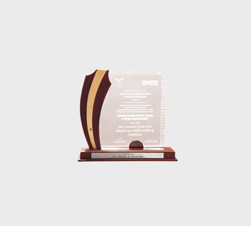 Clear Acrylic Curved Plaque with Wood Stripe - SKU ACA-112 - Acrylic