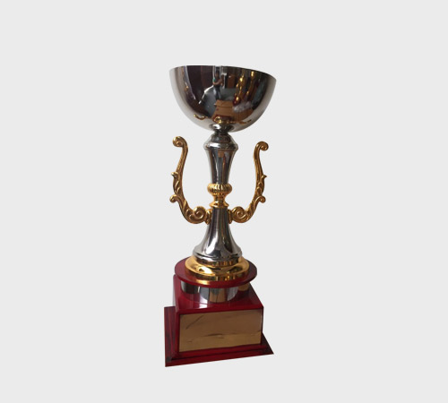 Silver Bowl Cup Trophy with Gold Handles - SKU ME-049 - Metal