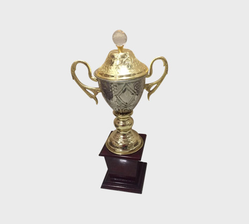 Gold and Silver Cup Trophy with Crystal Finial - SKU ME-096 - Metal