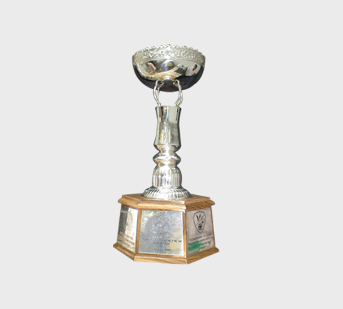 Silver Urn Cup on Hexagonal Wood Base - SKU MT-037 - Metal