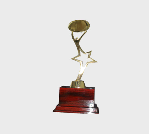 Gold Star Trophy with Oval Disc Accent - SKU PAC-008 - Metal