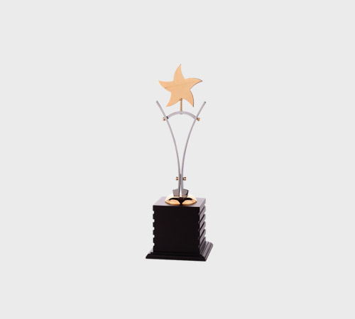 Gold Star on Arched Wire Stand - SKU PAC-029 - Metal