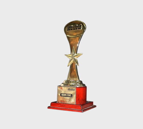 Gold Teardrop Trophy with Star Accent - SKU PAC-039 - Metal