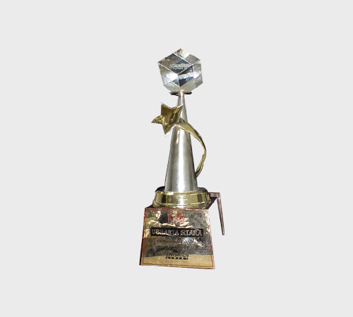 Silver Cone Trophy with Gold Star and Crystal Gem - SKU PAC-068 - Metal