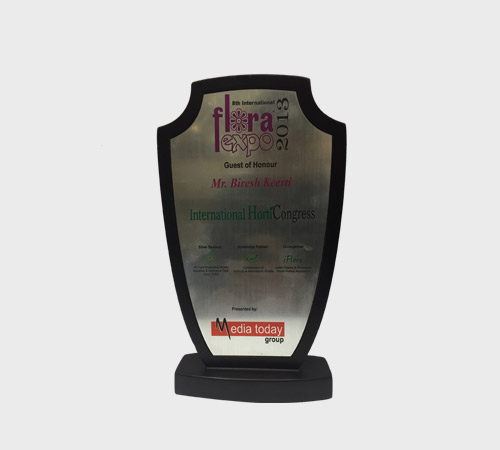 Brushed Silver Shield Plaque on Black Base - SKU WA-025 - Wood