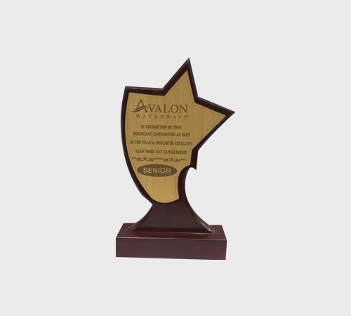 Star-Shaped Wood Plaque with Gold Ribbon Badge - SKU WA-052 - Wood